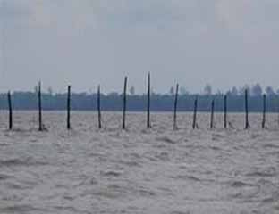 Atasi Konflik Bubu Tiang, DKP Riau akan Turun ke Rohil 